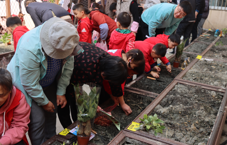 1678770531277770.png 1678770609508.png